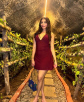 Disha